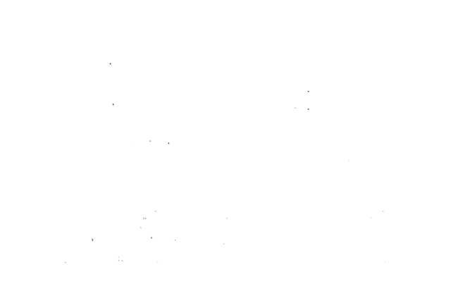 Logo-NeskoH-Akustik-blanc-sans-fond-650×433